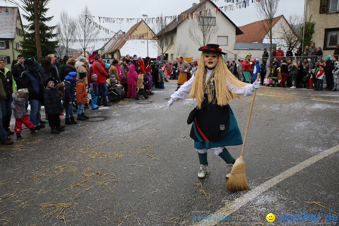 Fasnachtsumzug und Narrentage: Welschingen, 24.01.2016