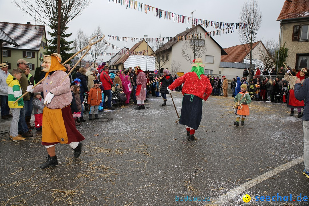 Fasnachtsumzug und Narrentage: Welschingen, 24.01.2016