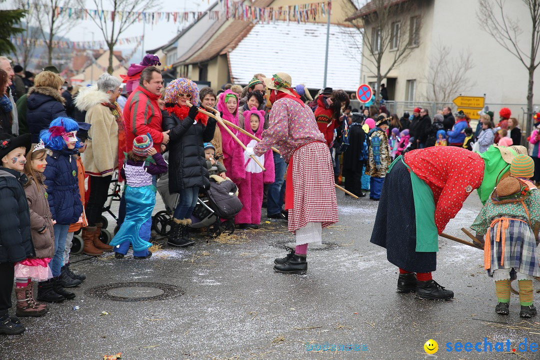 Fasnachtsumzug und Narrentage: Welschingen, 24.01.2016