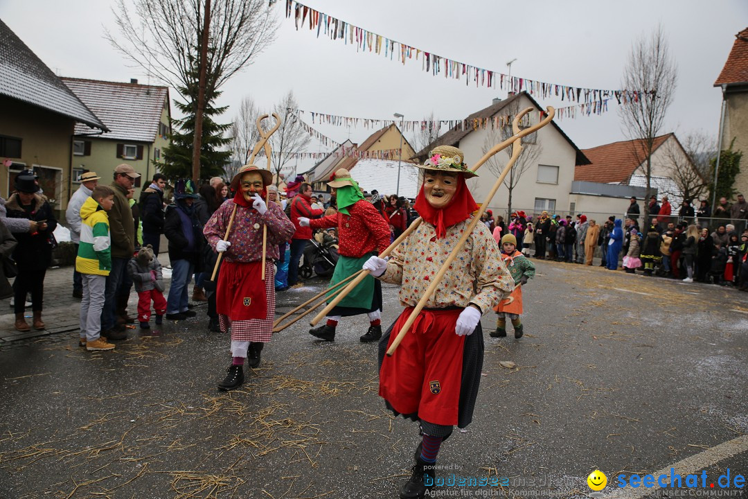 Fasnachtsumzug und Narrentage: Welschingen, 24.01.2016