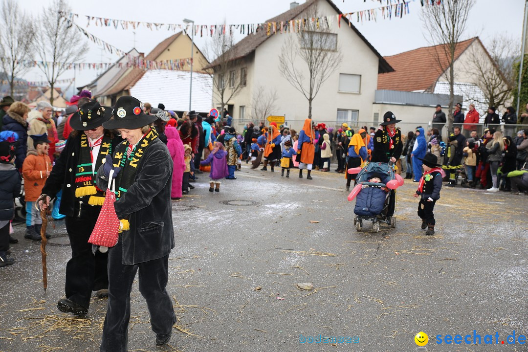 Fasnachtsumzug und Narrentage: Welschingen, 24.01.2016