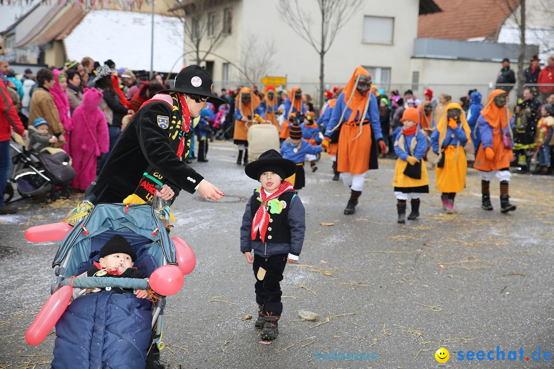 Fasnachtsumzug und Narrentage: Welschingen, 24.01.2016