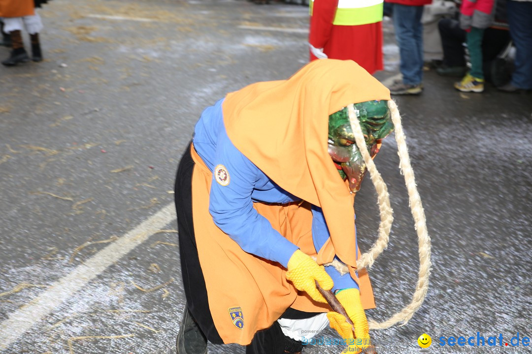 Fasnachtsumzug und Narrentage: Welschingen, 24.01.2016