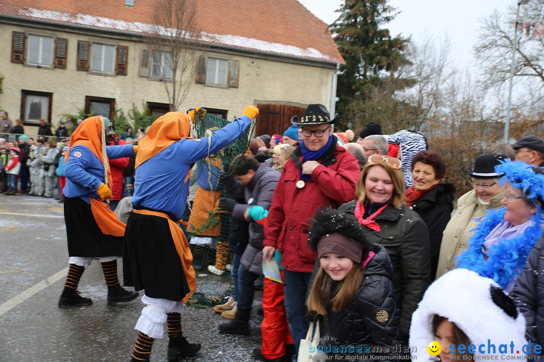 Fasnachtsumzug und Narrentage: Welschingen, 24.01.2016