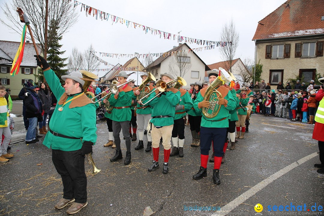 Fasnachtsumzug und Narrentage: Welschingen, 24.01.2016