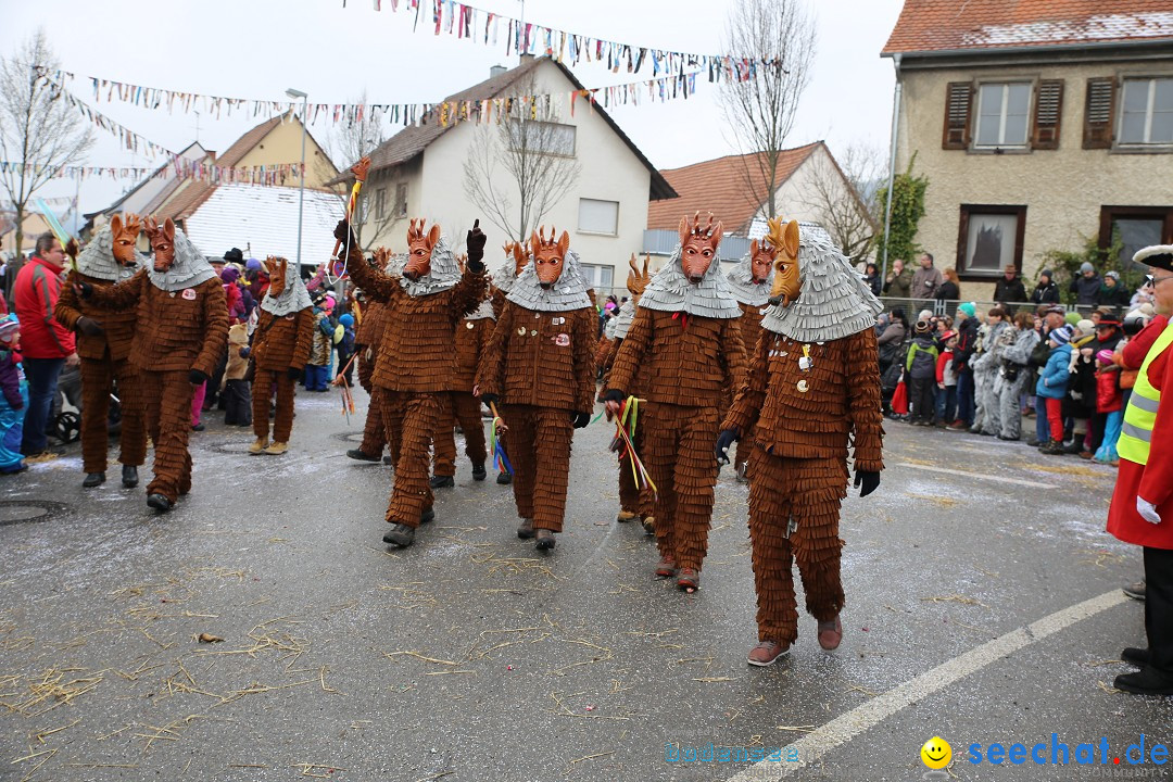 Fasnachtsumzug und Narrentage: Welschingen, 24.01.2016