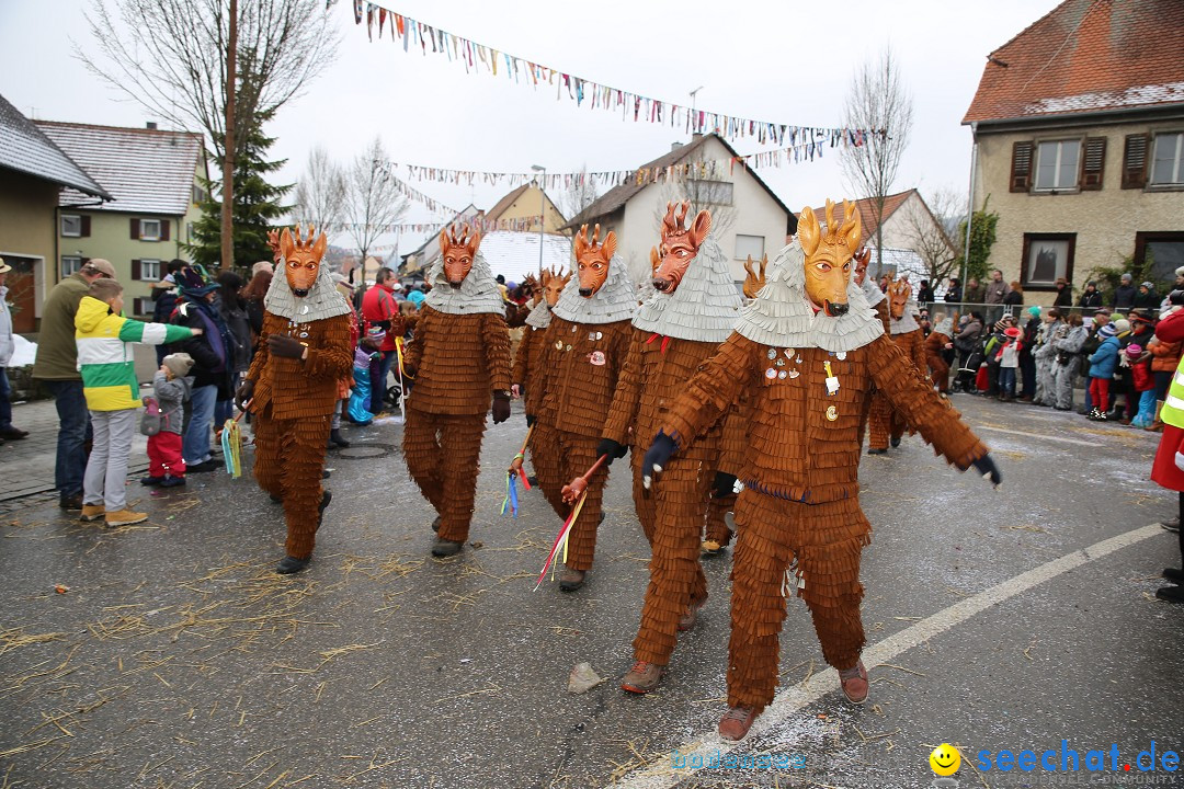 Fasnachtsumzug und Narrentage: Welschingen, 24.01.2016