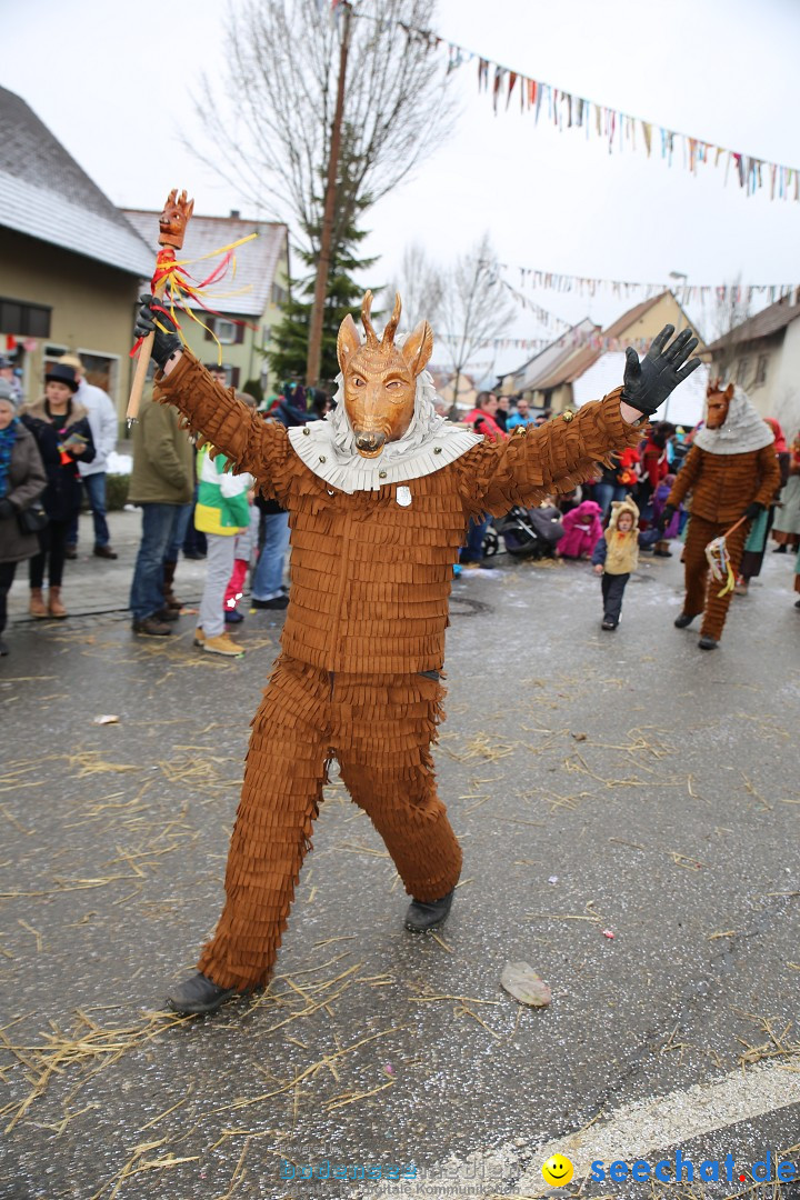 Fasnachtsumzug und Narrentage: Welschingen, 24.01.2016