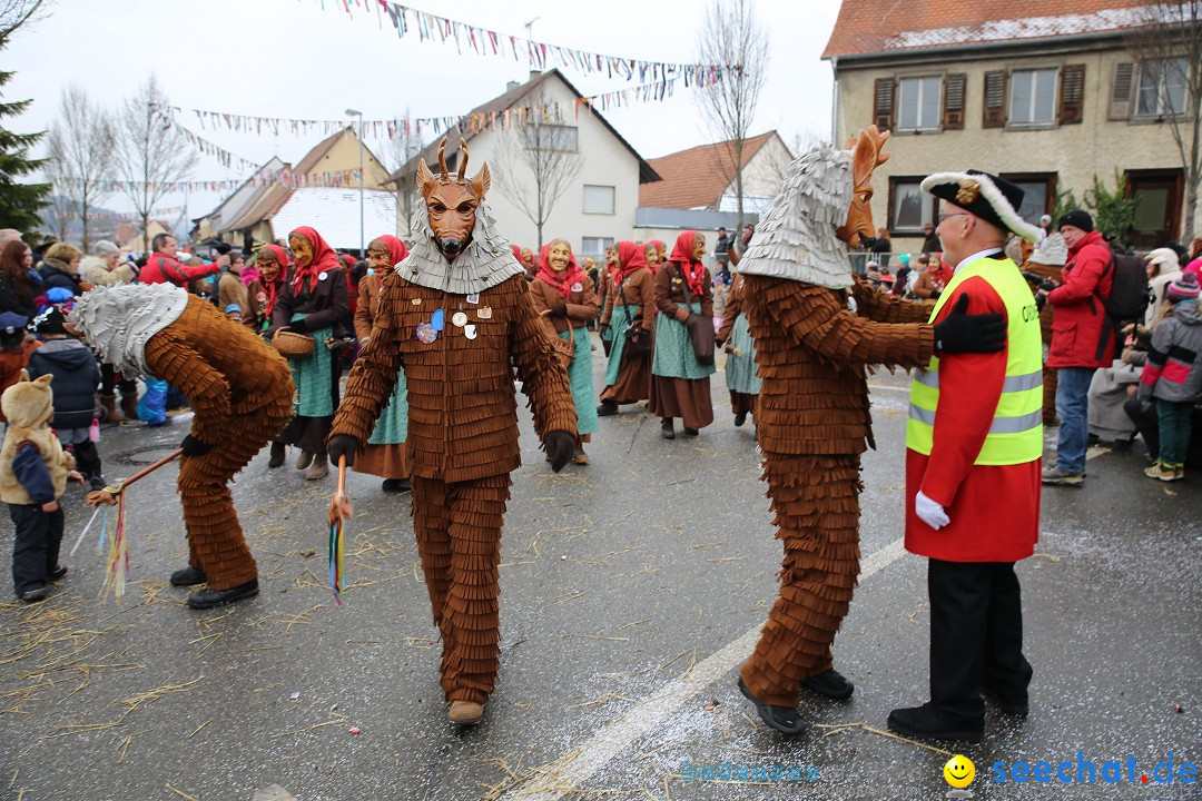 Fasnachtsumzug und Narrentage: Welschingen, 24.01.2016