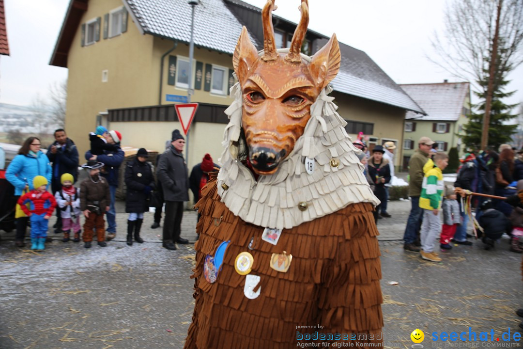 Fasnachtsumzug und Narrentage: Welschingen, 24.01.2016