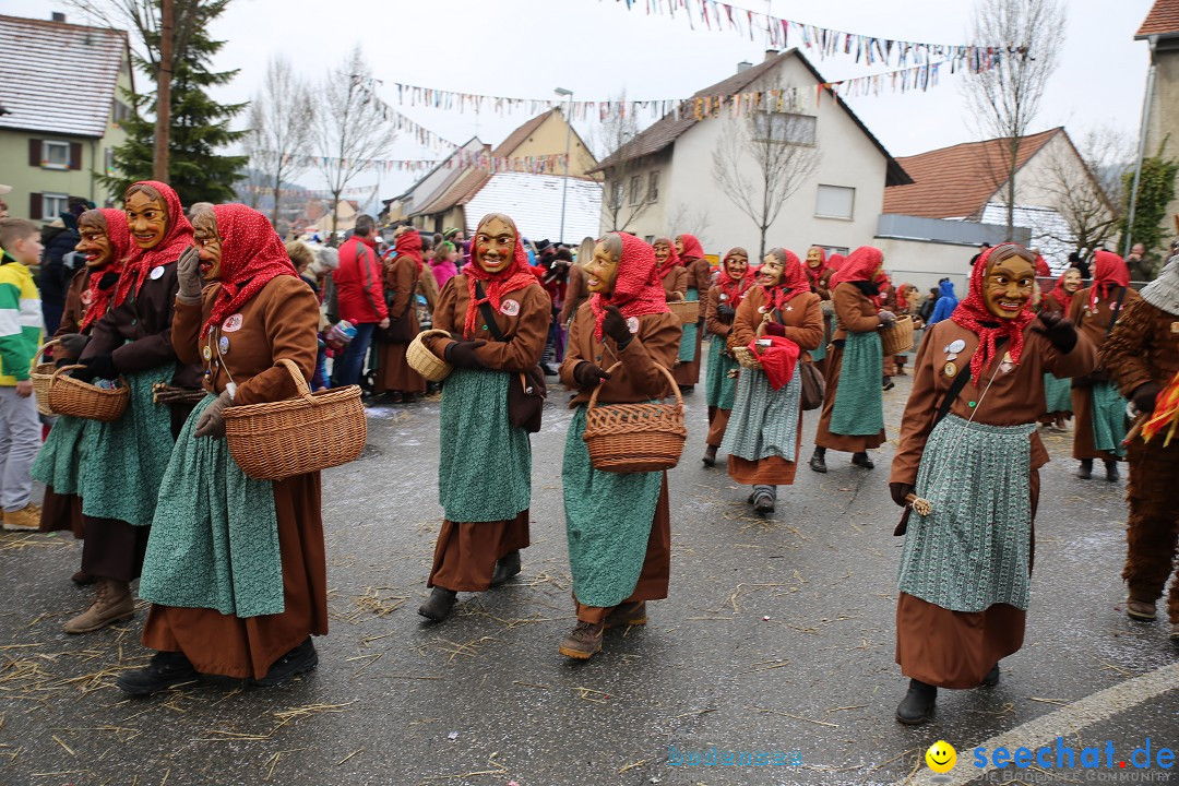 Fasnachtsumzug und Narrentage: Welschingen, 24.01.2016