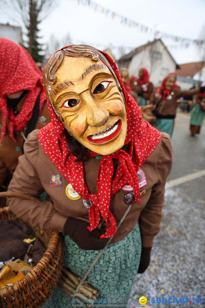 Fasnachtsumzug und Narrentage: Welschingen, 24.01.2016