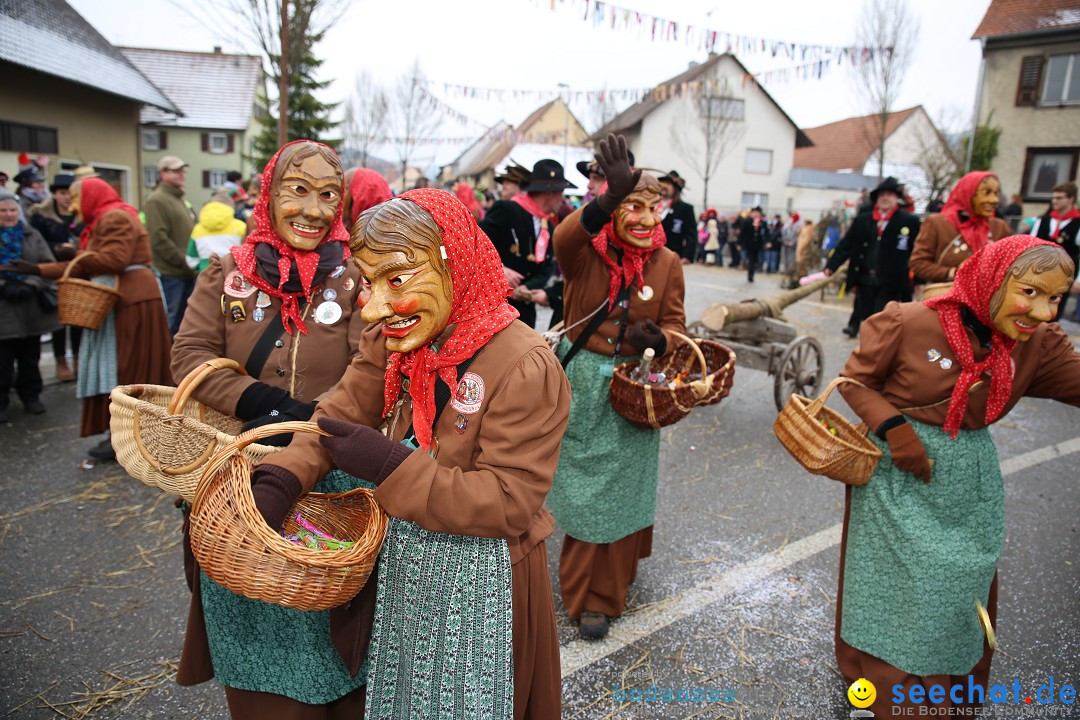 Fasnachtsumzug und Narrentage: Welschingen, 24.01.2016