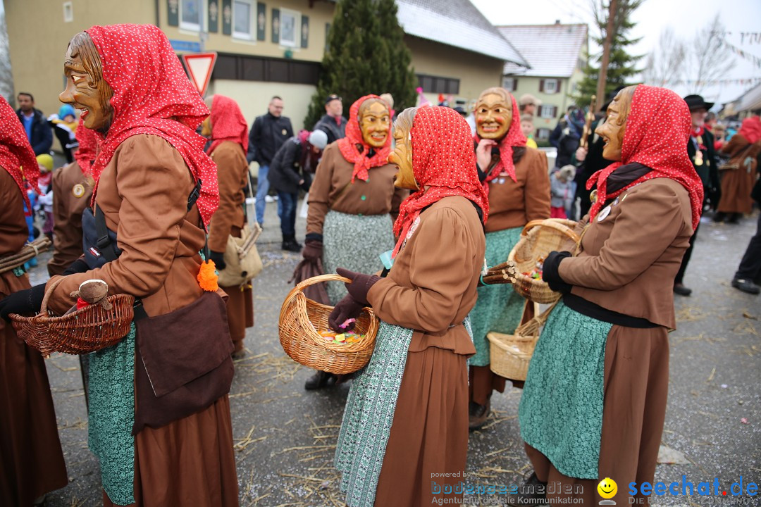 Fasnachtsumzug und Narrentage: Welschingen, 24.01.2016