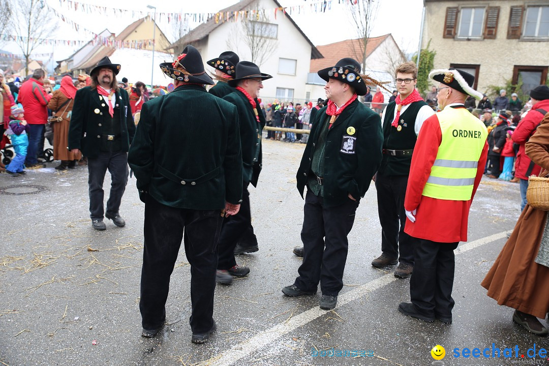 Fasnachtsumzug und Narrentage: Welschingen, 24.01.2016