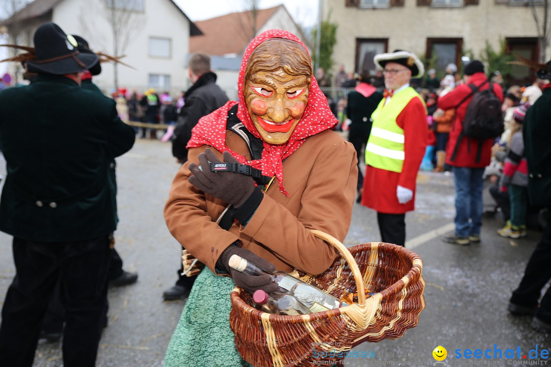 Fasnachtsumzug und Narrentage: Welschingen, 24.01.2016