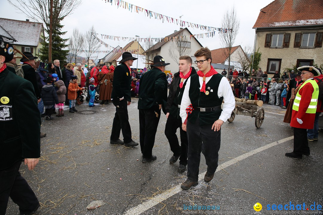 Fasnachtsumzug und Narrentage: Welschingen, 24.01.2016