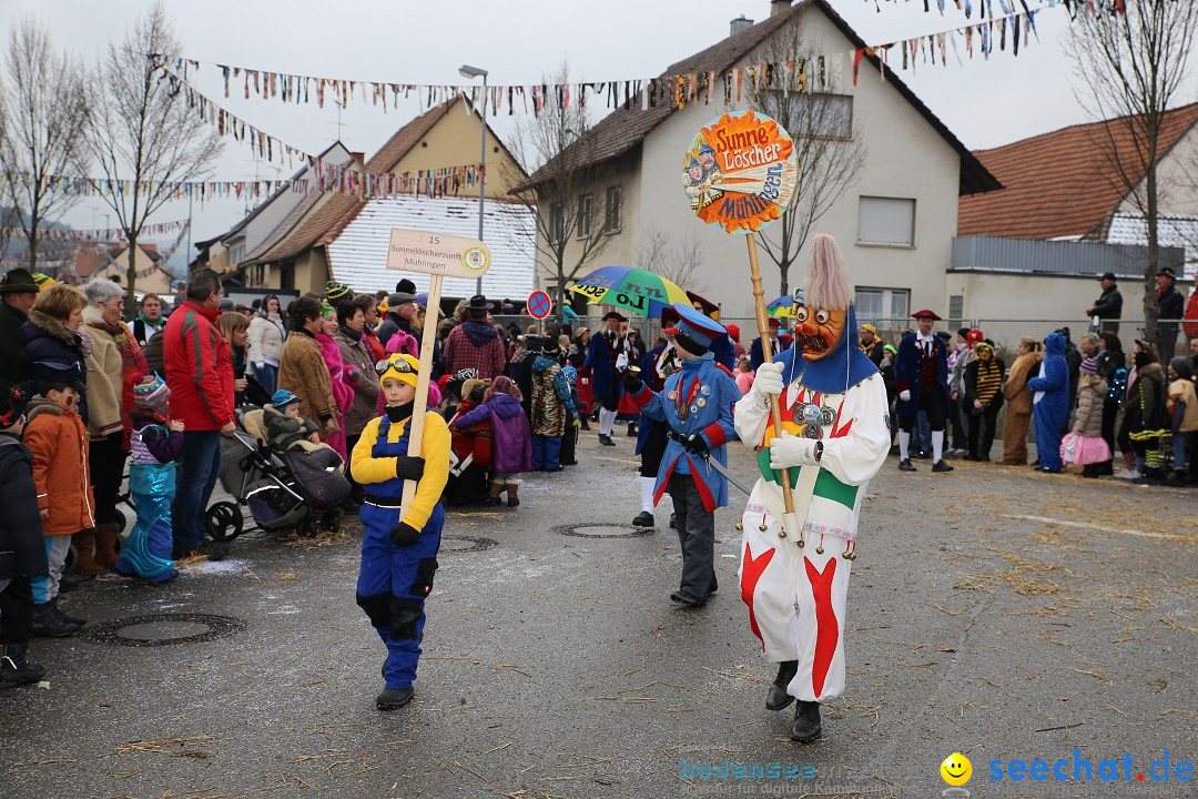 Fasnachtsumzug und Narrentage: Welschingen, 24.01.2016