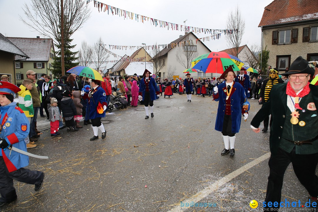 Fasnachtsumzug und Narrentage: Welschingen, 24.01.2016