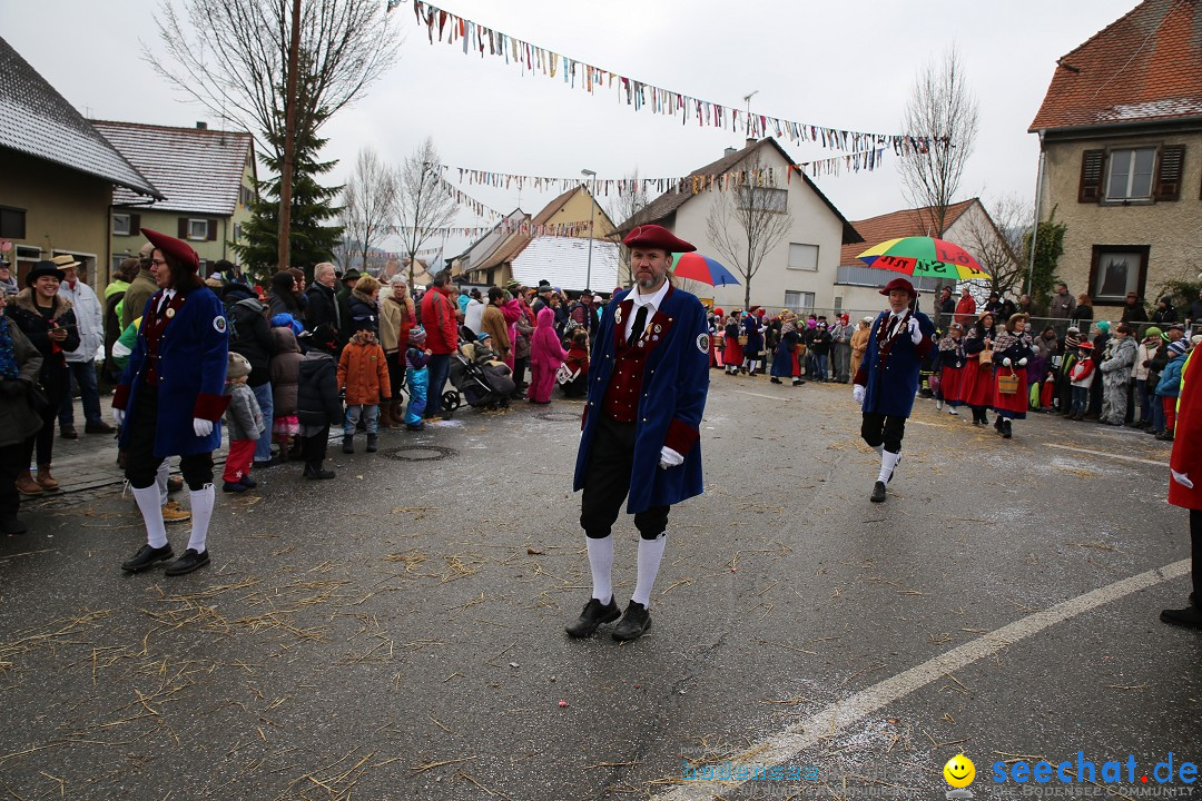 Fasnachtsumzug und Narrentage: Welschingen, 24.01.2016