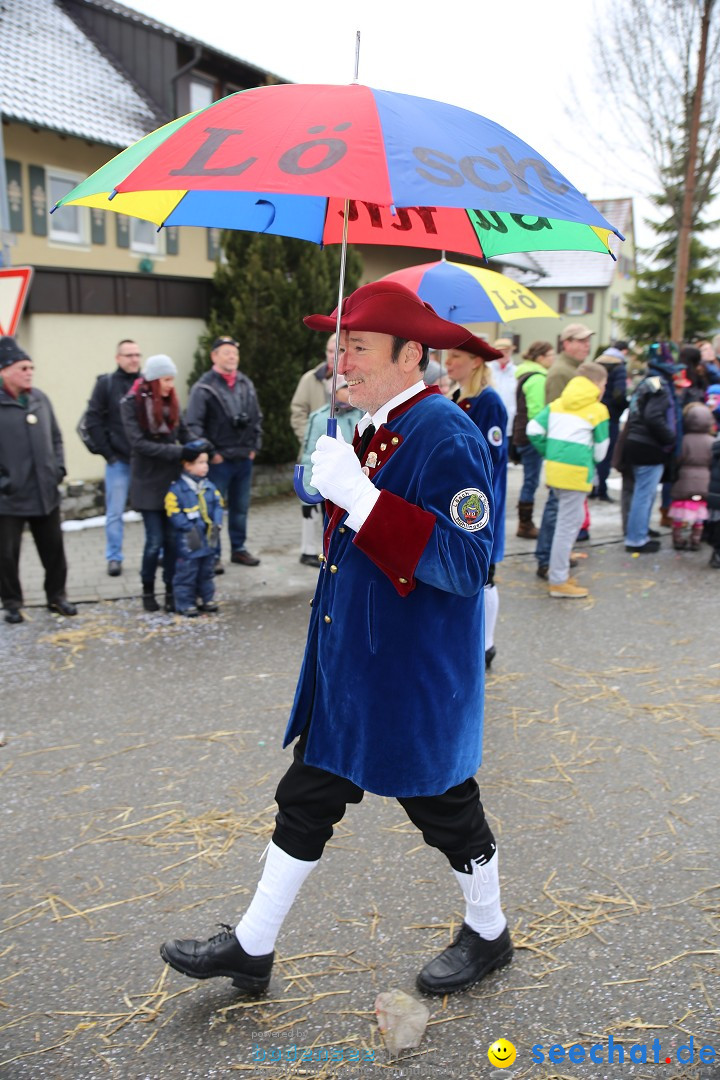 Fasnachtsumzug und Narrentage: Welschingen, 24.01.2016