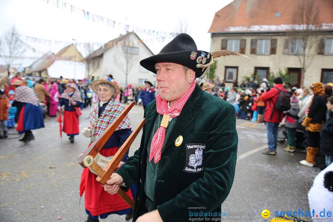 Fasnachtsumzug und Narrentage: Welschingen, 24.01.2016