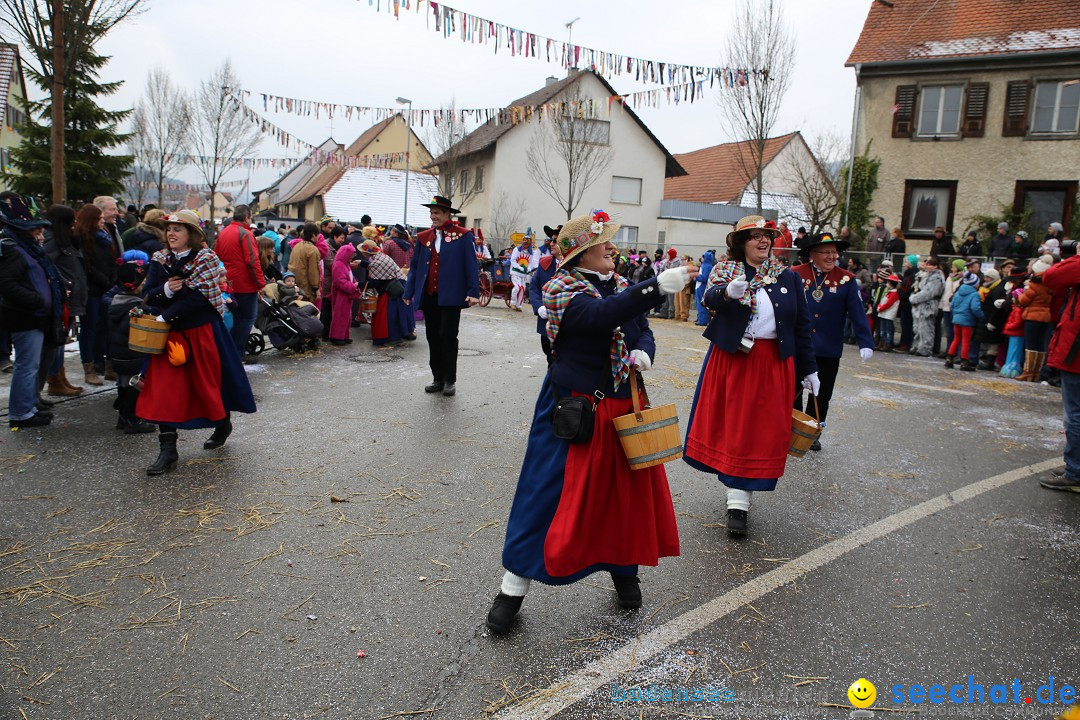 Fasnachtsumzug und Narrentage: Welschingen, 24.01.2016