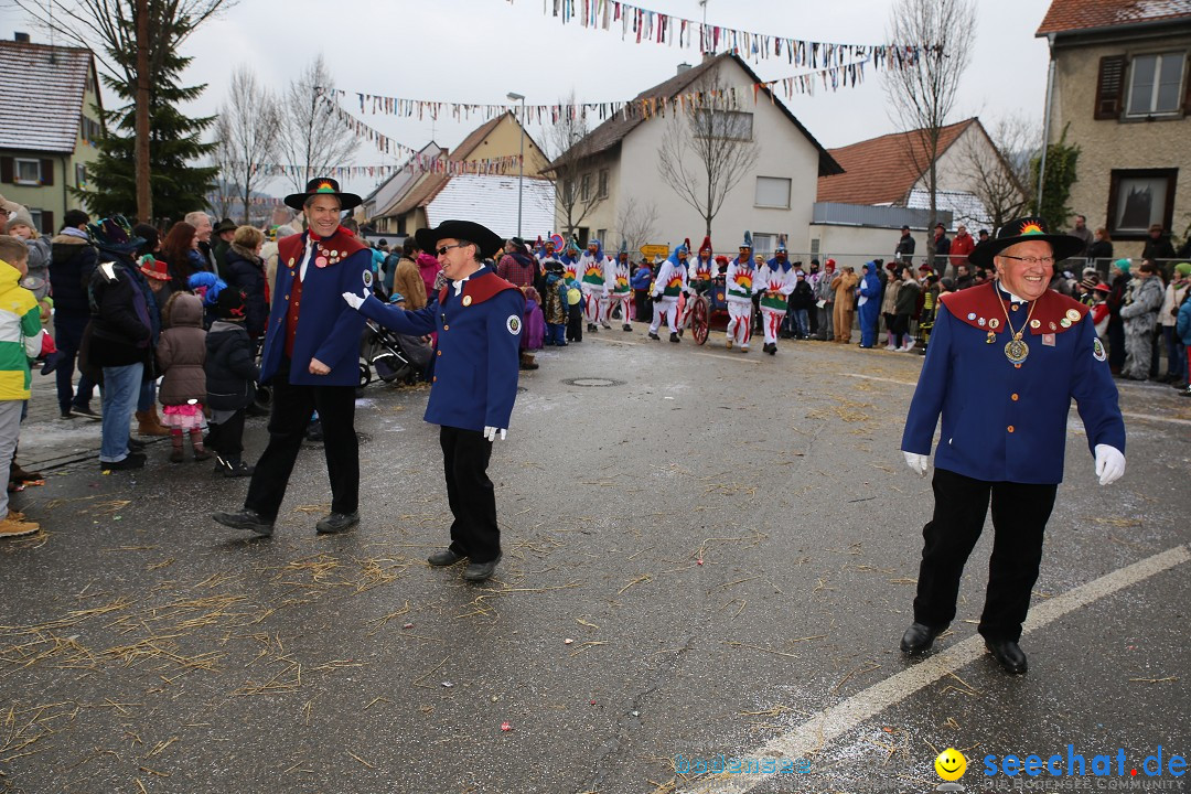 Fasnachtsumzug und Narrentage: Welschingen, 24.01.2016