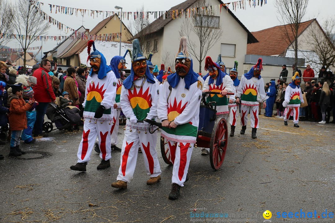 Fasnachtsumzug und Narrentage: Welschingen, 24.01.2016