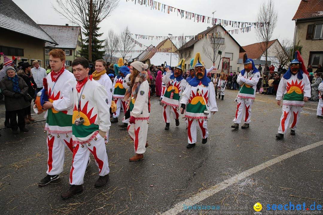 Fasnachtsumzug und Narrentage: Welschingen, 24.01.2016