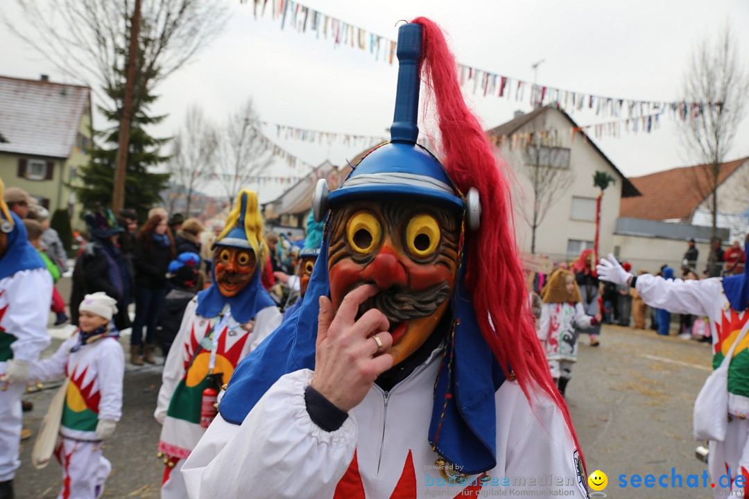 Fasnachtsumzug und Narrentage: Welschingen, 24.01.2016