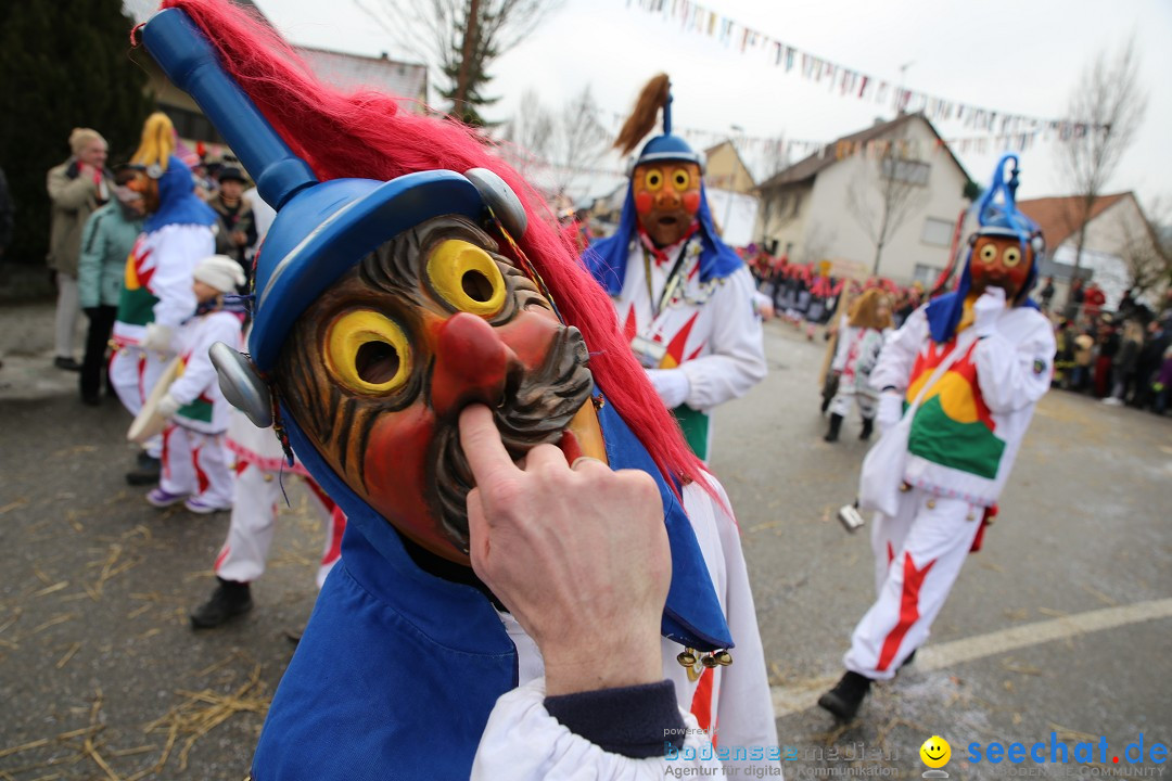 Fasnachtsumzug und Narrentage: Welschingen, 24.01.2016