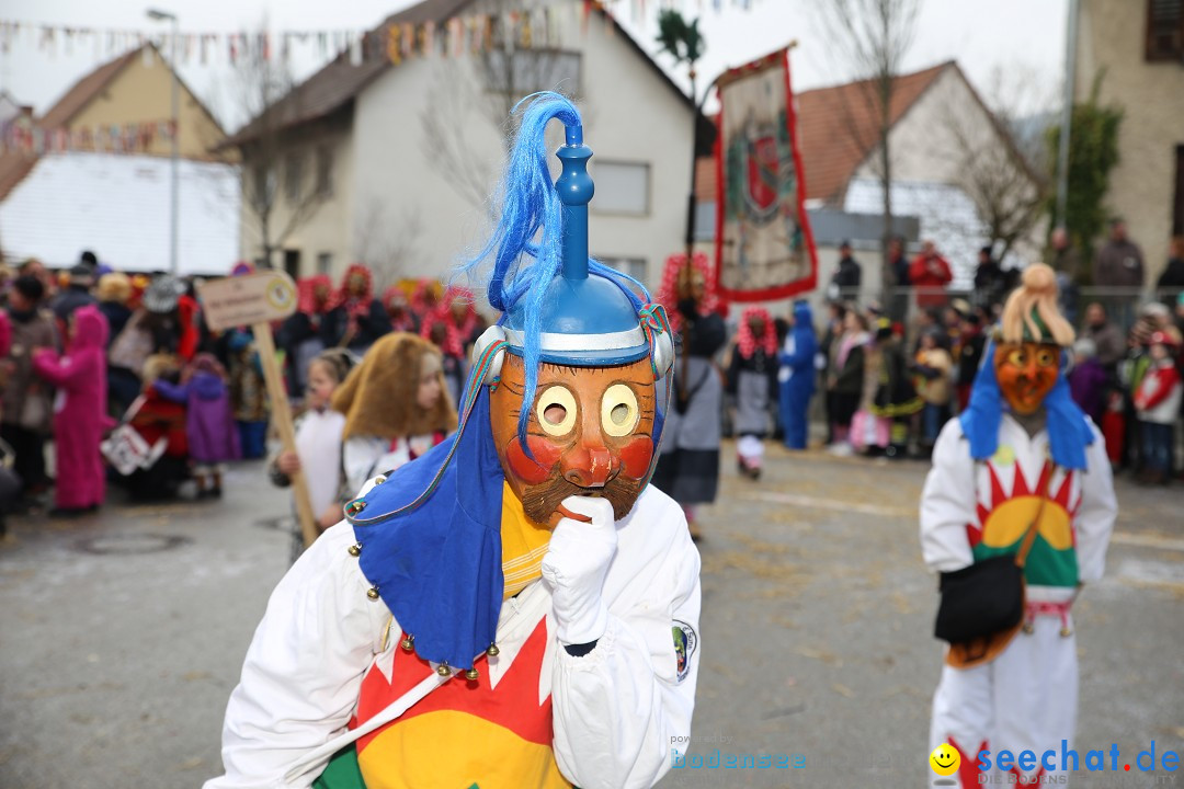 Fasnachtsumzug und Narrentage: Welschingen, 24.01.2016