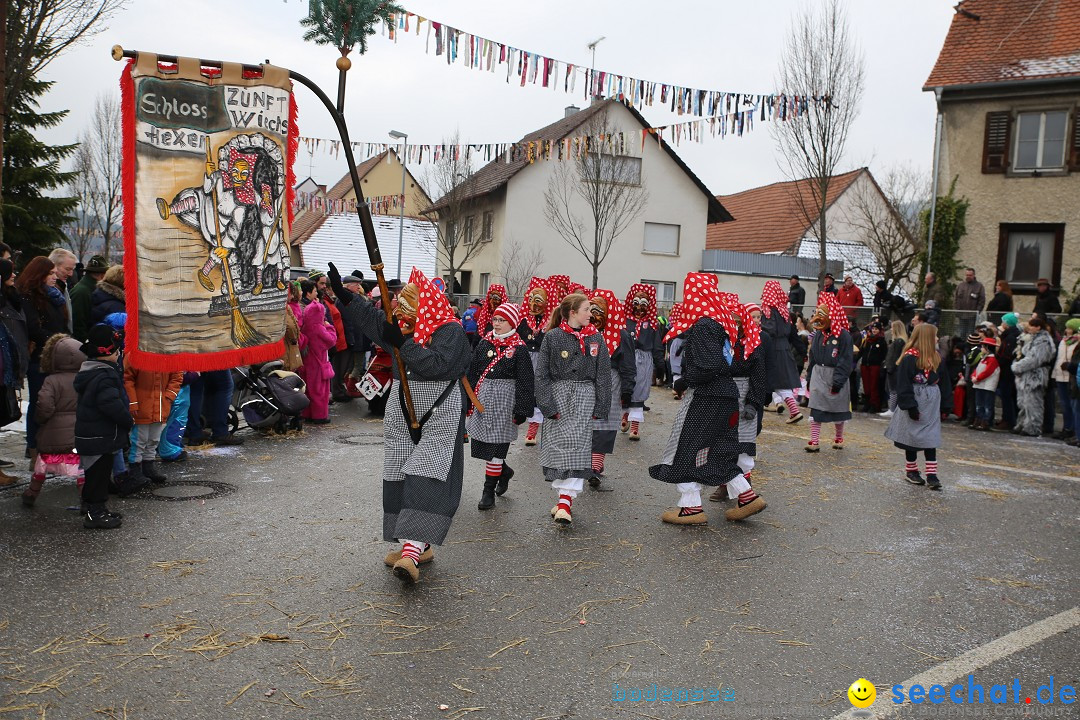 Fasnachtsumzug und Narrentage: Welschingen, 24.01.2016