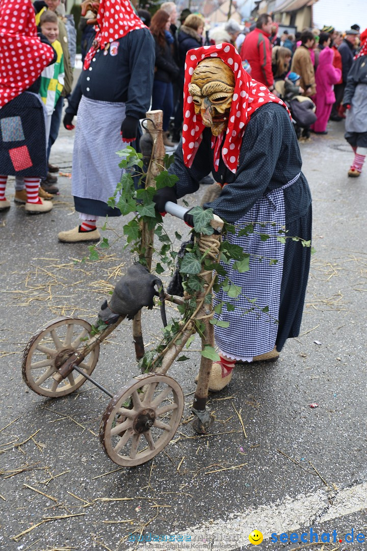 Fasnachtsumzug und Narrentage: Welschingen, 24.01.2016