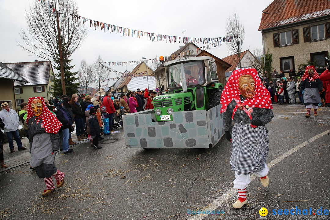 Fasnachtsumzug und Narrentage: Welschingen, 24.01.2016