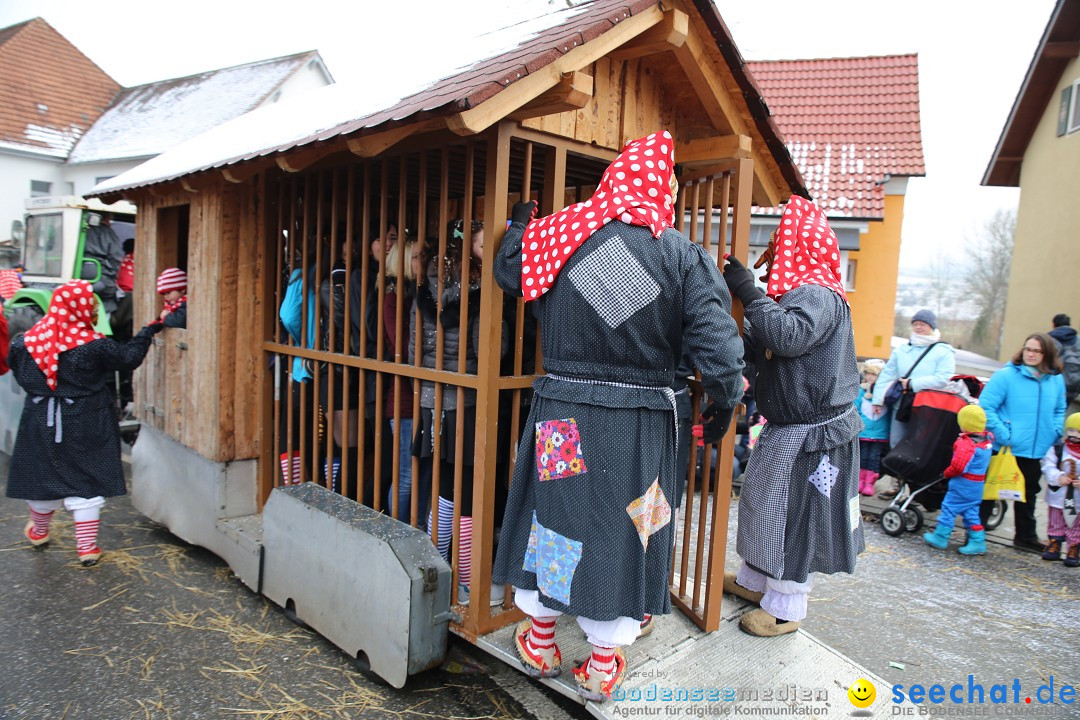 Fasnachtsumzug und Narrentage: Welschingen, 24.01.2016