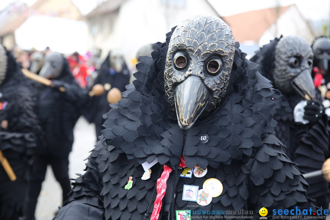 Fasnachtsumzug und Narrentage: Welschingen, 24.01.2016