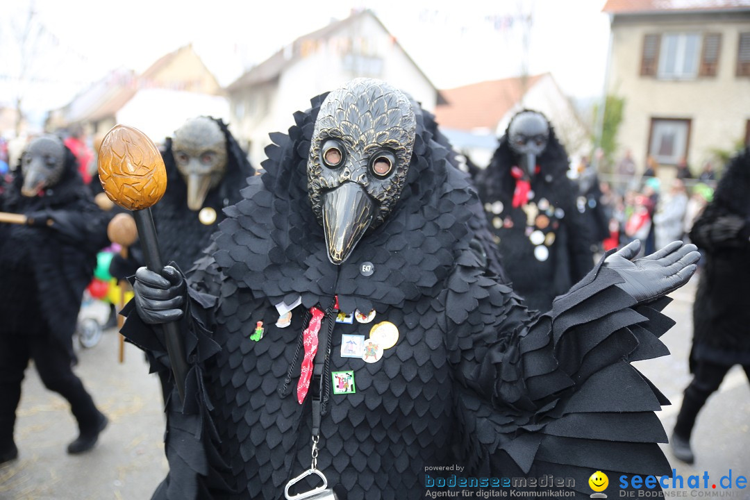 Fasnachtsumzug und Narrentage: Welschingen, 24.01.2016