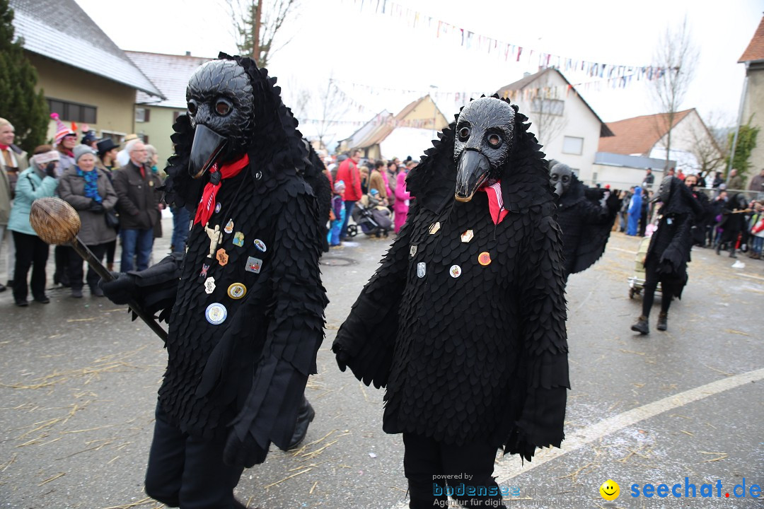 Fasnachtsumzug und Narrentage: Welschingen, 24.01.2016