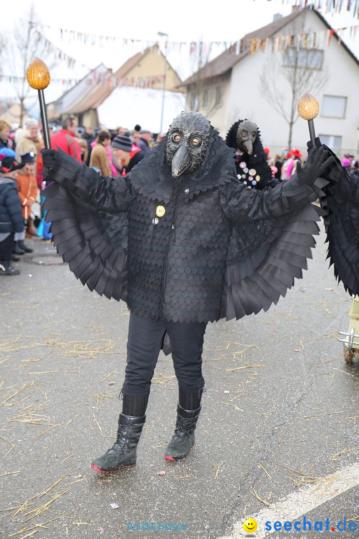 Fasnachtsumzug und Narrentage: Welschingen, 24.01.2016