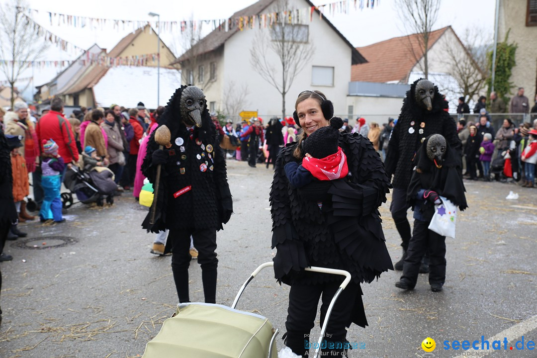 Fasnachtsumzug und Narrentage: Welschingen, 24.01.2016