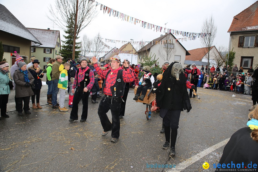 Fasnachtsumzug und Narrentage: Welschingen, 24.01.2016