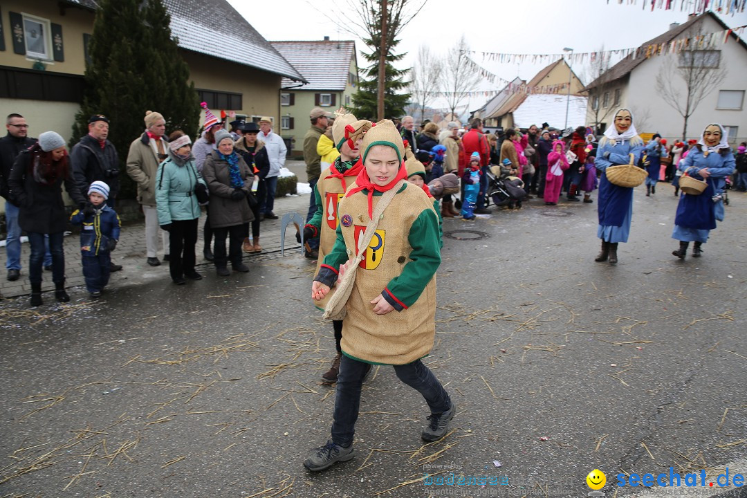 Fasnachtsumzug und Narrentage: Welschingen, 24.01.2016