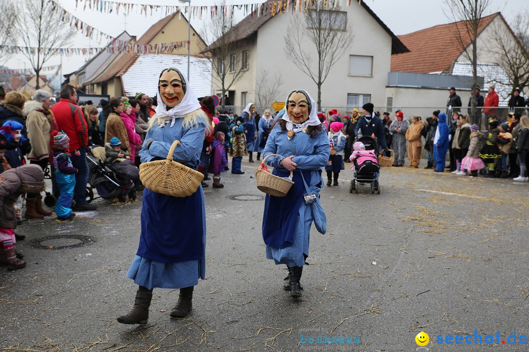 Fasnachtsumzug und Narrentage: Welschingen, 24.01.2016