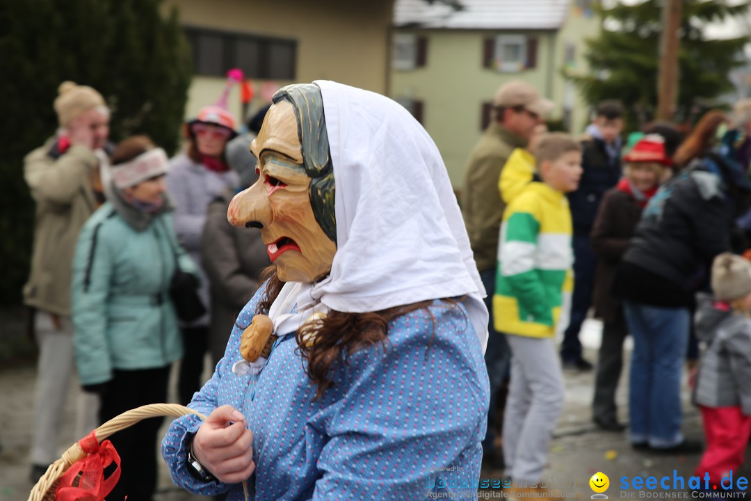 Fasnachtsumzug und Narrentage: Welschingen, 24.01.2016