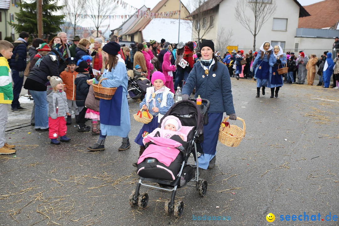 Fasnachtsumzug und Narrentage: Welschingen, 24.01.2016