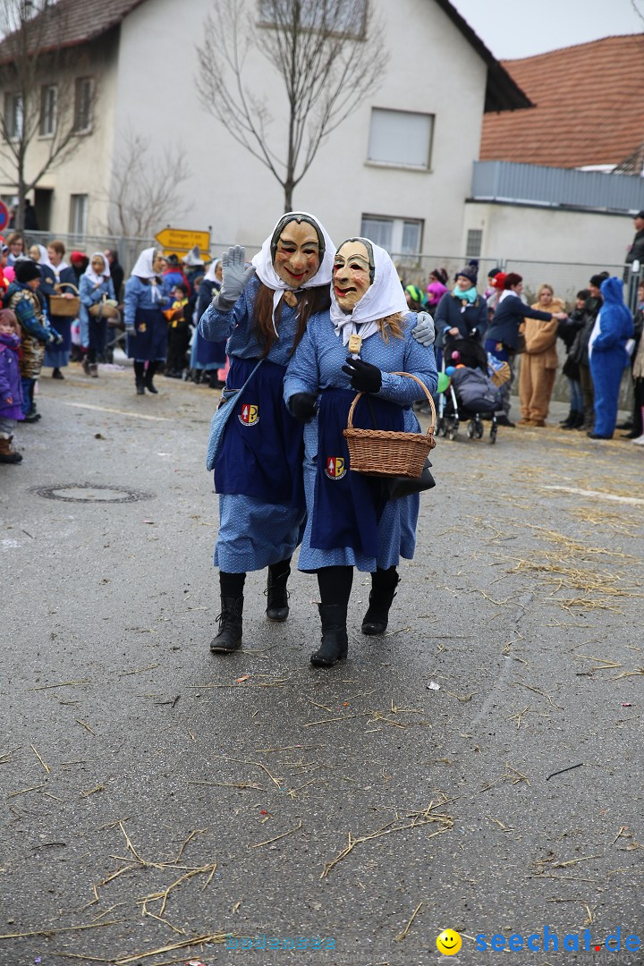 Fasnachtsumzug und Narrentage: Welschingen, 24.01.2016