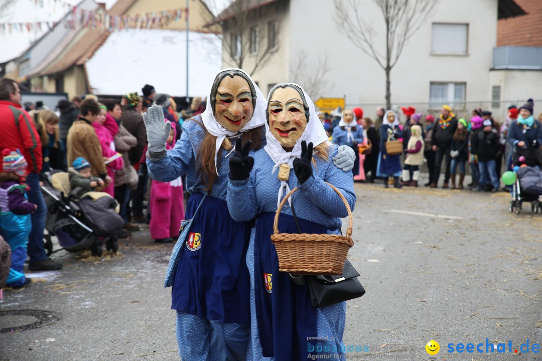 Fasnachtsumzug und Narrentage: Welschingen, 24.01.2016