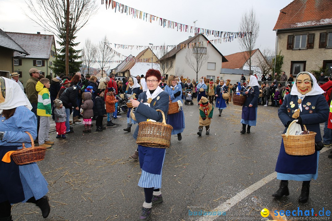 Fasnachtsumzug und Narrentage: Welschingen, 24.01.2016